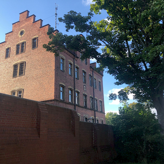 Detailaufnahme eines Stacheldrahtes, der über einen Zaum gespannt ist
